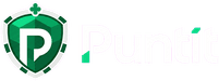 Puntit
